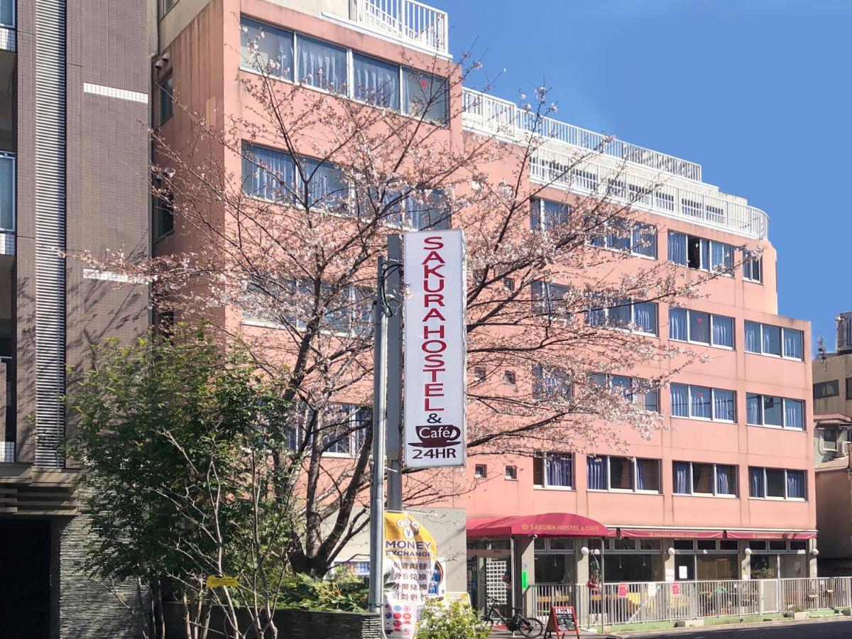 Sakura Asakusa Tokyo prefektur